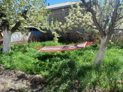 Airbnb  by named MonaVard