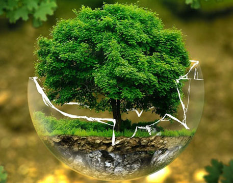 Nature & Environment